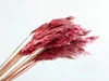 Purple red