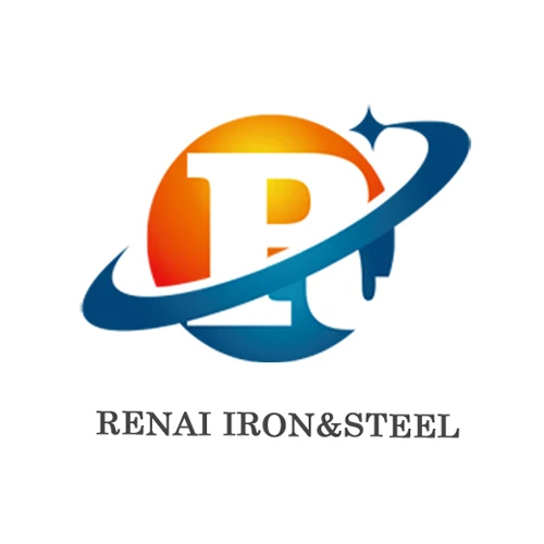 Company Overview Shandong Renai Iron Steel Co Ltd