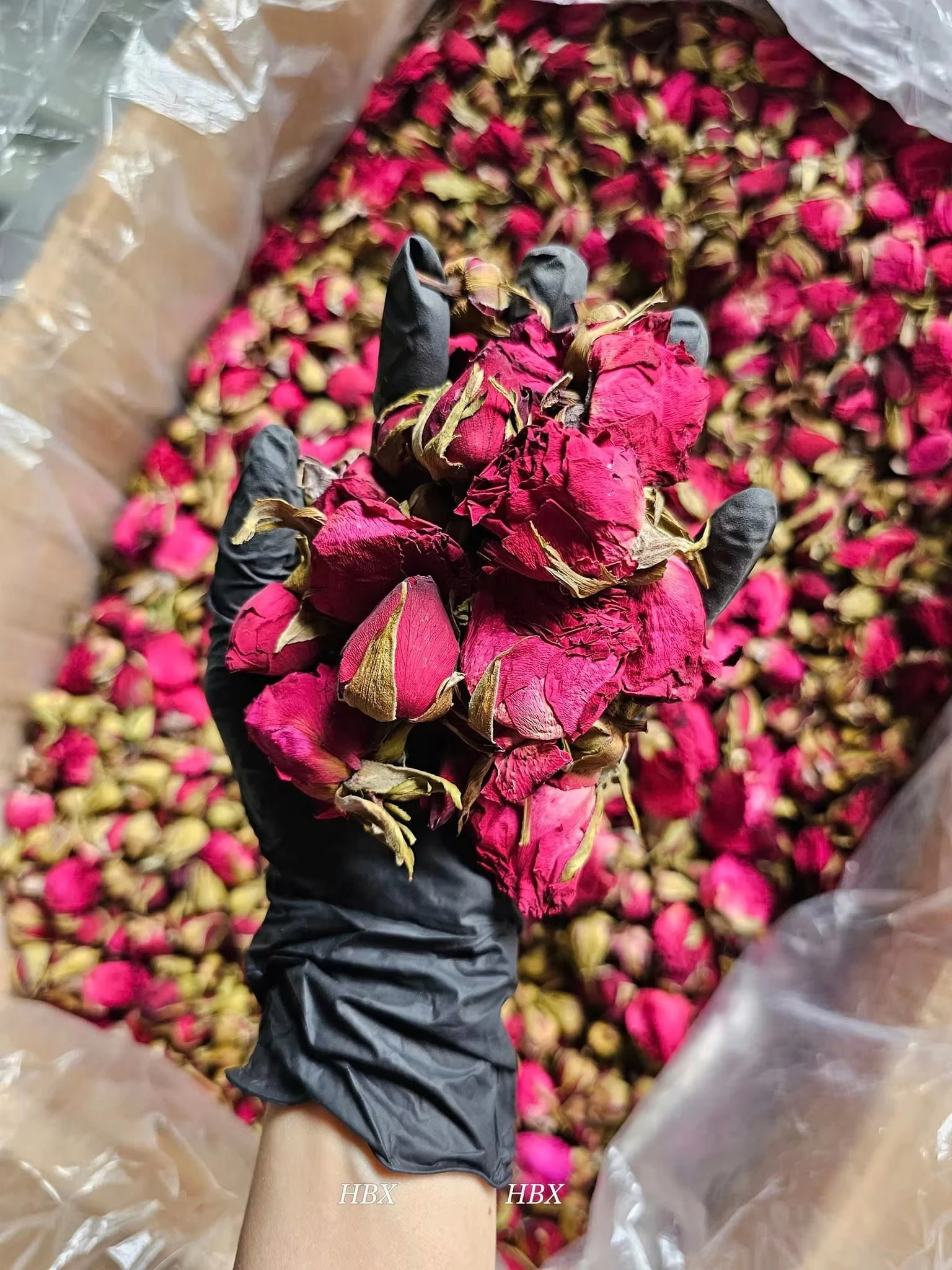 Dried Rose - Bulk Wholesale from China Factory H24518aefadeb4fdb9a74ad95e4917b28s