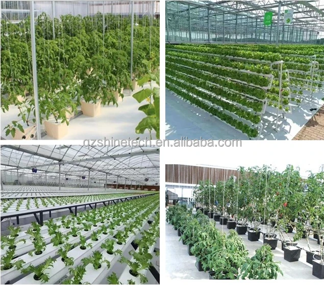 Multi-span film greenhouse