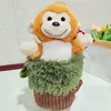 Singe de souche
