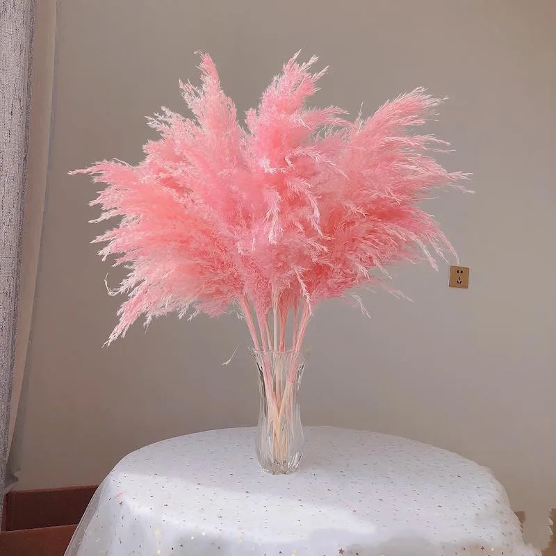 VIDSTW 30 Pezzi Pampas Decorative 55 Cm Erba Di Pampa Fiori Secchi Decorativi Piume Decorative Fiori Secchi Decorativi Decorazioni Casa Per Vaso, Per Decorazioni Matrimonio, Decorazione Casa (Bianco - 3