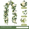 Enredadera de Eucalipto C
