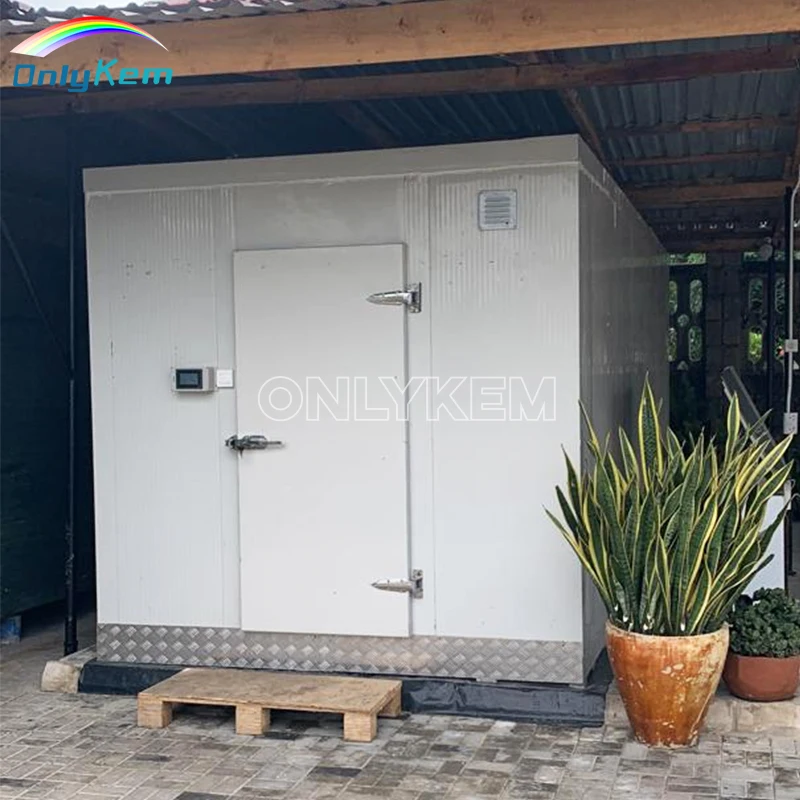 Walk in Freezer Cold Storage Butcher Shop Cold Room for Sausage Meat Processing Plant