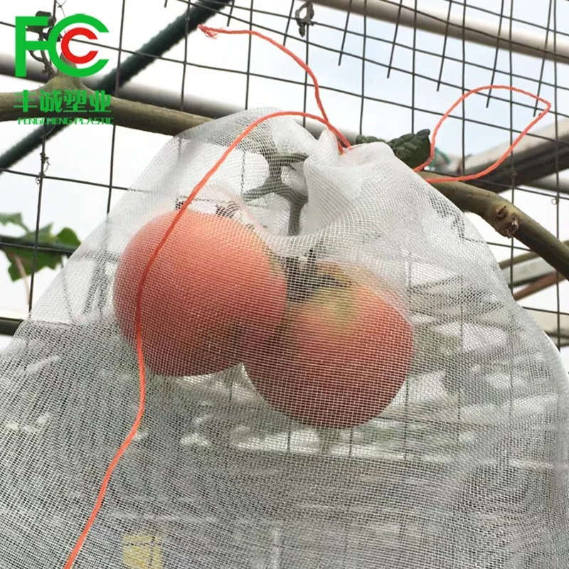 Bolsa de protección de red de frutas de plástico, malla antiinsectos para  agricultura y uvas