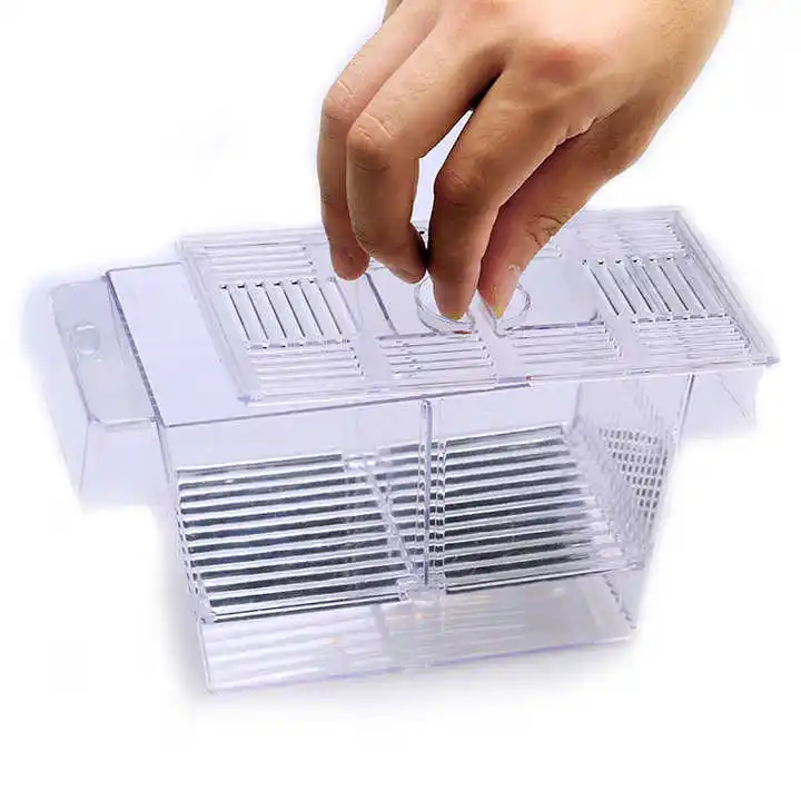 Aquarium,Boîte D'élevage De Poissons En Acrylique, Boîte D'isolation De Poissons Avec Ventouses