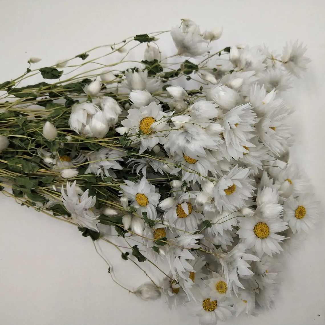 Dried White Daisies / Dried Rodanthe Natural / Rustic Home Decor / Rustic  Wedding Decoration