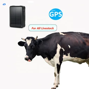 Winnes GPS Tracker pour Vache/Cheval/Mouton/Chameau IP66 étanche