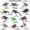 ชุดแมลงจิ๋ว HFM สีสันสดใส 12 ชิ้น รุ่น B