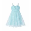 Queen Elsa's dress