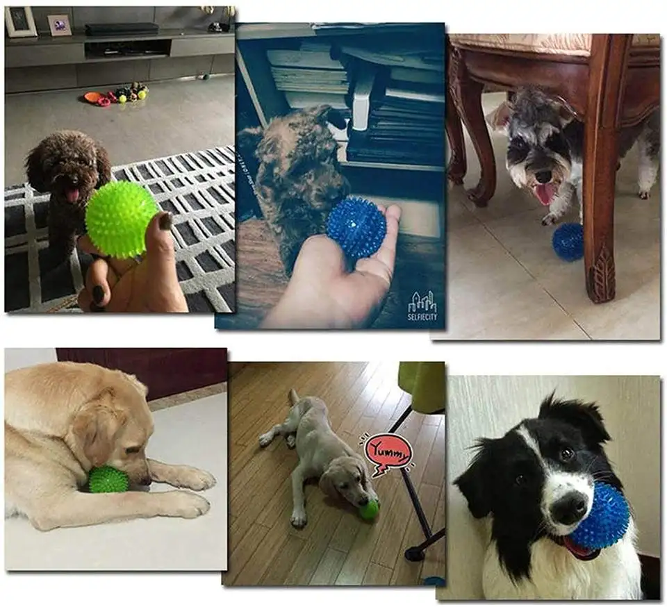 Squeaky Fetch Spike Balls TPR Toys for Pet Small Dogs Puppy Rubber Bright Color Chew Teething Toys