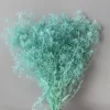 Blu-chiaro
