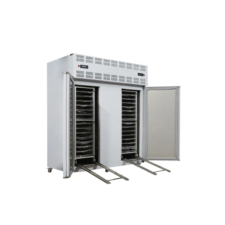 Ce Certified Minus 80 Degrees Celsius Hiron Blast Freezer for Sale