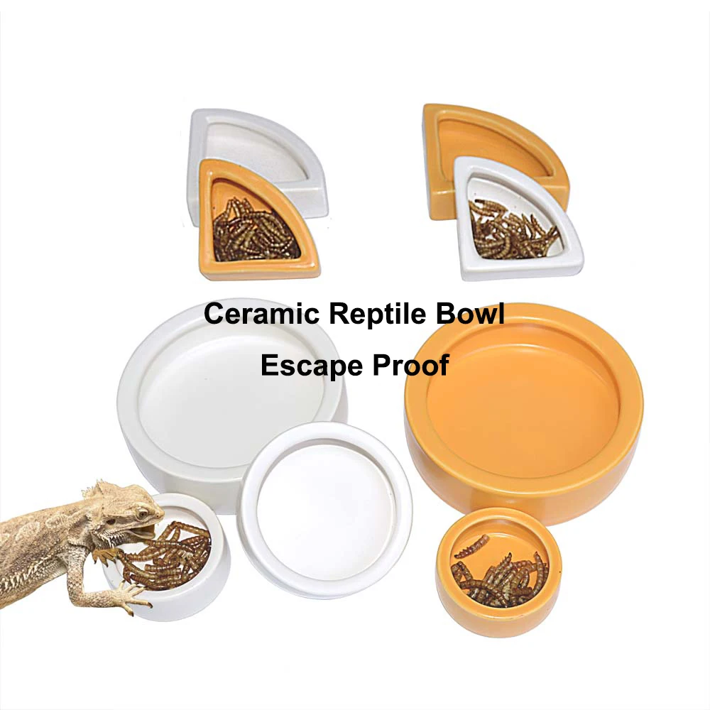 JT-02 Reptile Feeding Terrarium Bowls for Lizard Frog Gecko Tortoise Resin Reptile Rock Food Dish