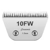 10 W