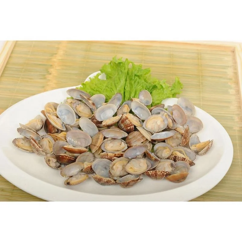 新到货美味新鲜冷冻煮短颈蛤肉 Buy 冷冻煮短颈蛤蜊肉 新鲜短颈蛤蜊带壳 新到货短颈蛤蜊带壳