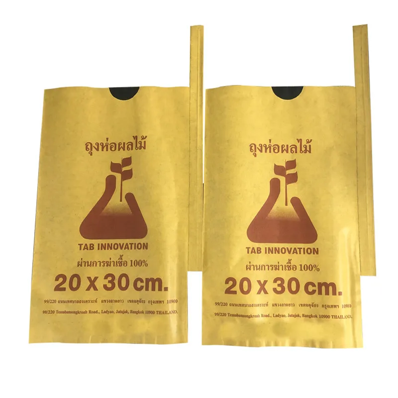 Fabricante de bolsas de papel de mango