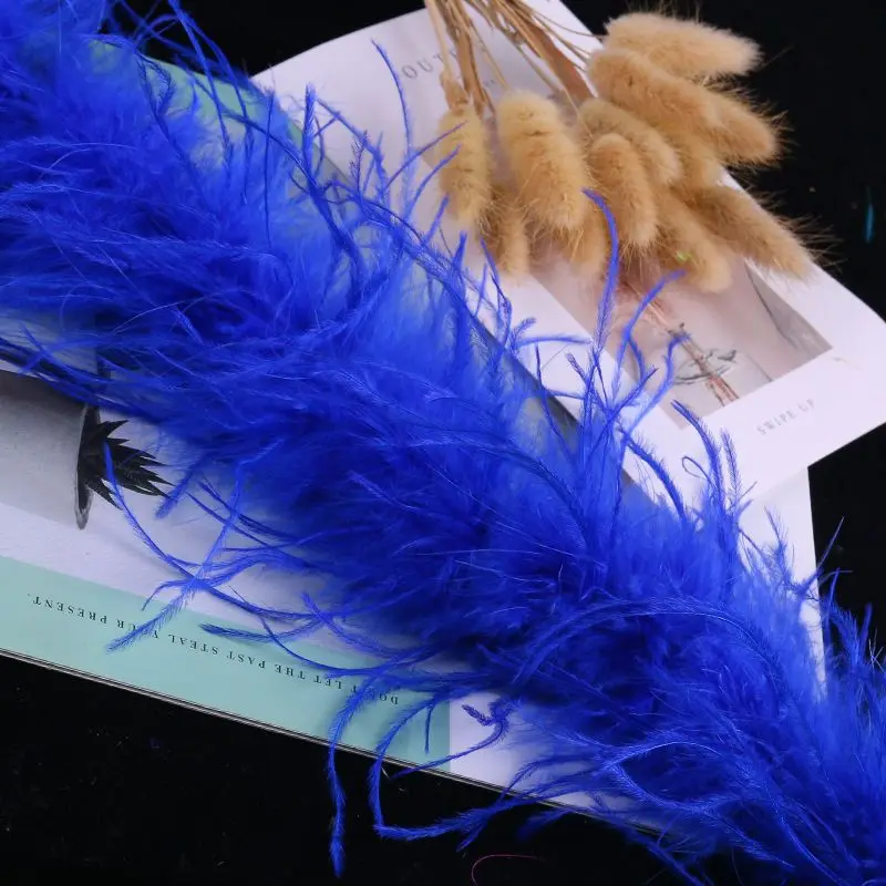 Factory Price Feather Ostrich Feather 1520cm/2m1 Piece Color Wedding