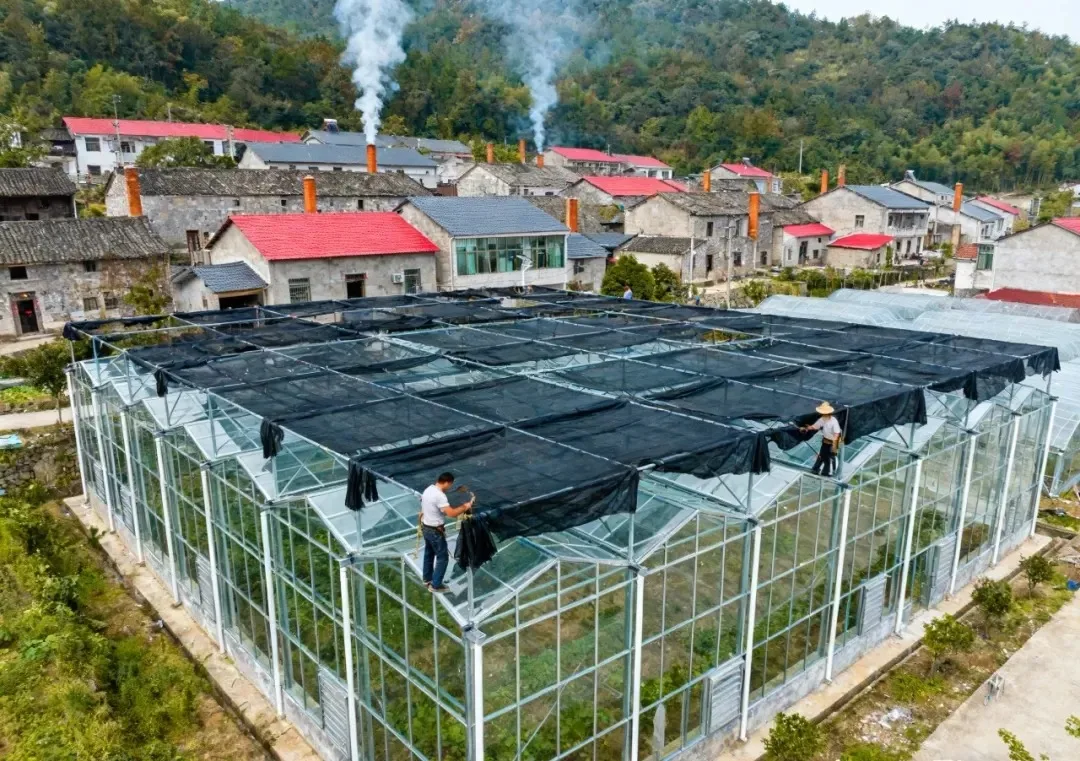 H247172cba65e40888dc465b5e95c6b55Y