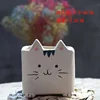 Chaton avec trou