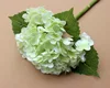 Vert clair