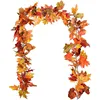 Autumn Yellow