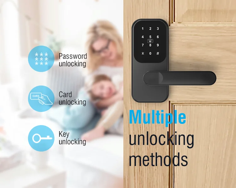 Te'an Smart Electronic Lock Card Aluminum Hand Lever Digital Password ...