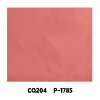 CQ204