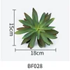 BF028