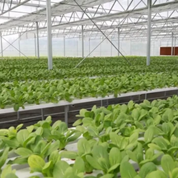 Agricultural Hydroponic Farm Growing Systems Greenhouse For Sale