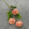 Ranunculus 3