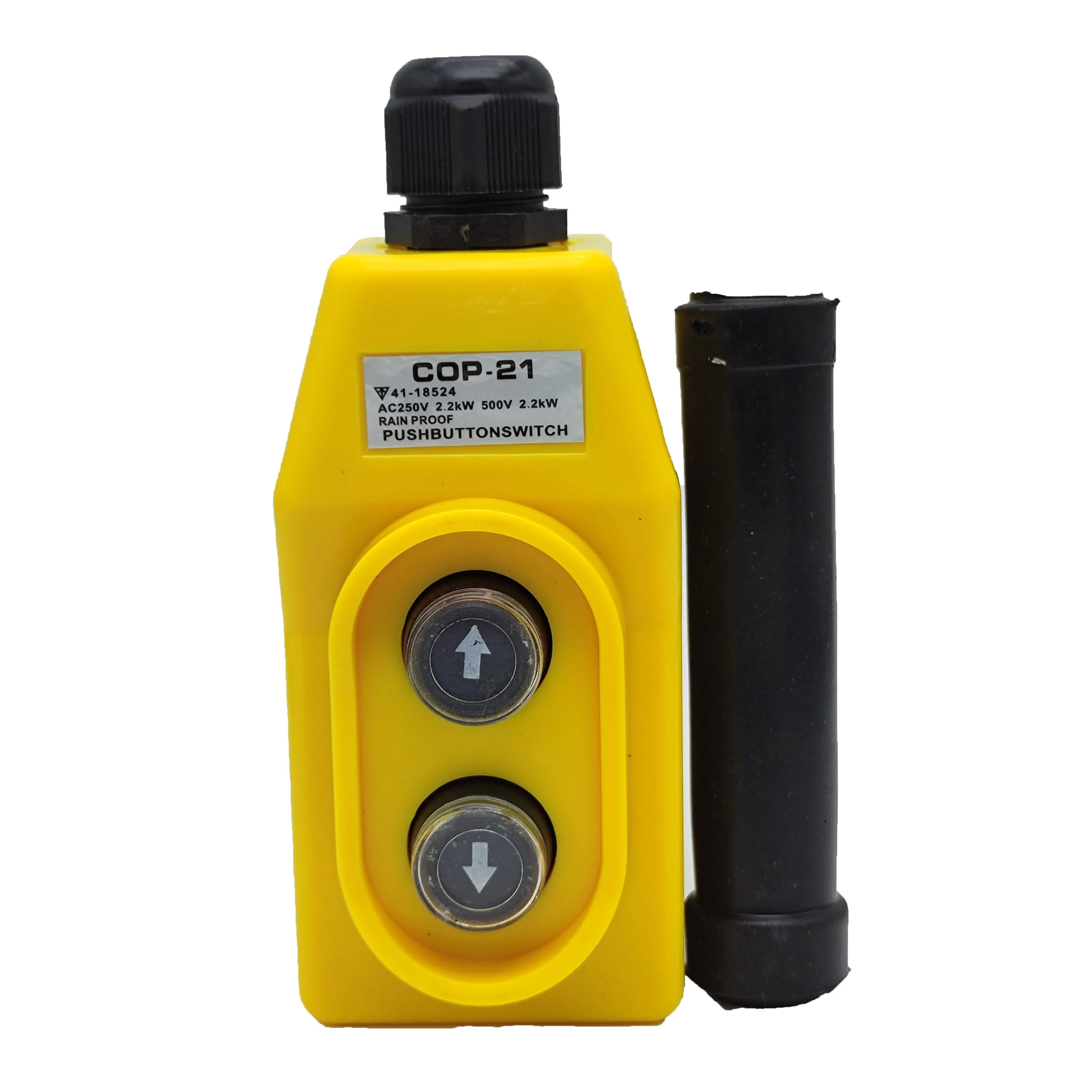 COP21 Crane Pendant Push Button Switch – UP-Down Direct Control, Waterproof, Momentary