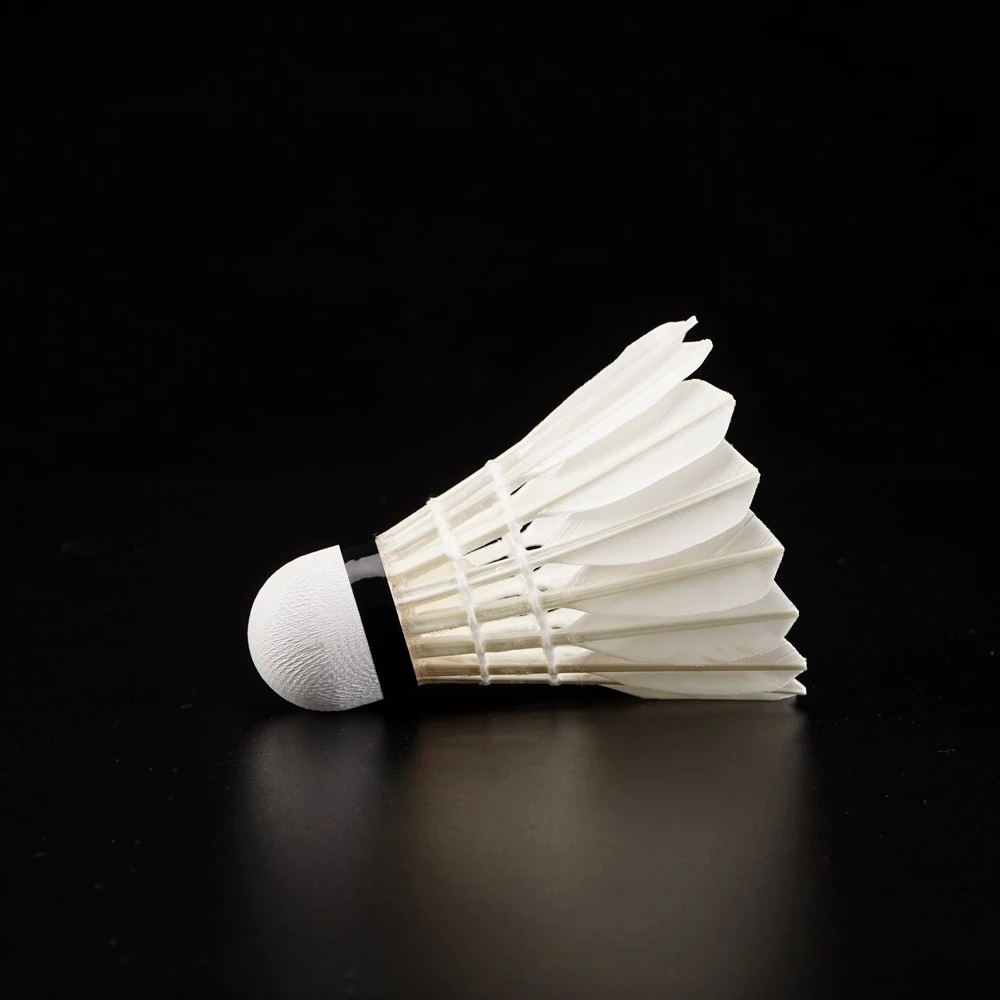 Wprofessional 12pcs High Quality Protech Rsl Badminton Shuttlecock Chaonell a 6 Type Malaysia