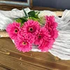 Rose garance