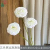 Three-headed Barbie Bubble Rose White