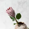 Lotus violet une tige