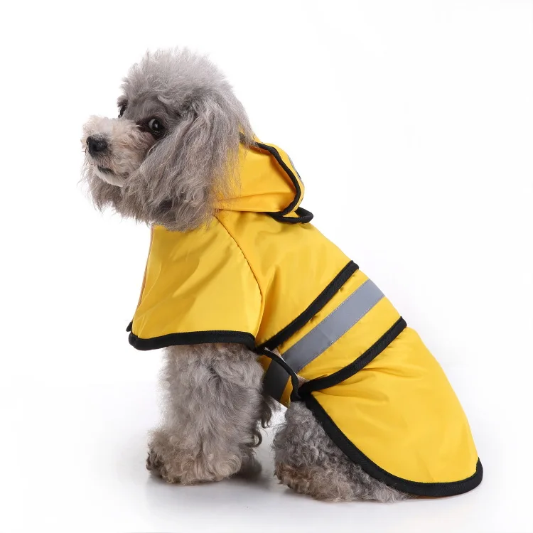 small dog raincoat with hood