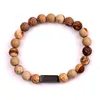 Jaspe pictural marron