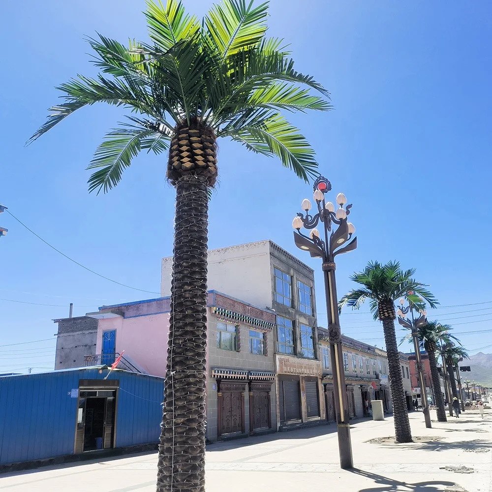 Preserved Coconut Palm Tree 3m - Eco-Friendly Outdoor Decor