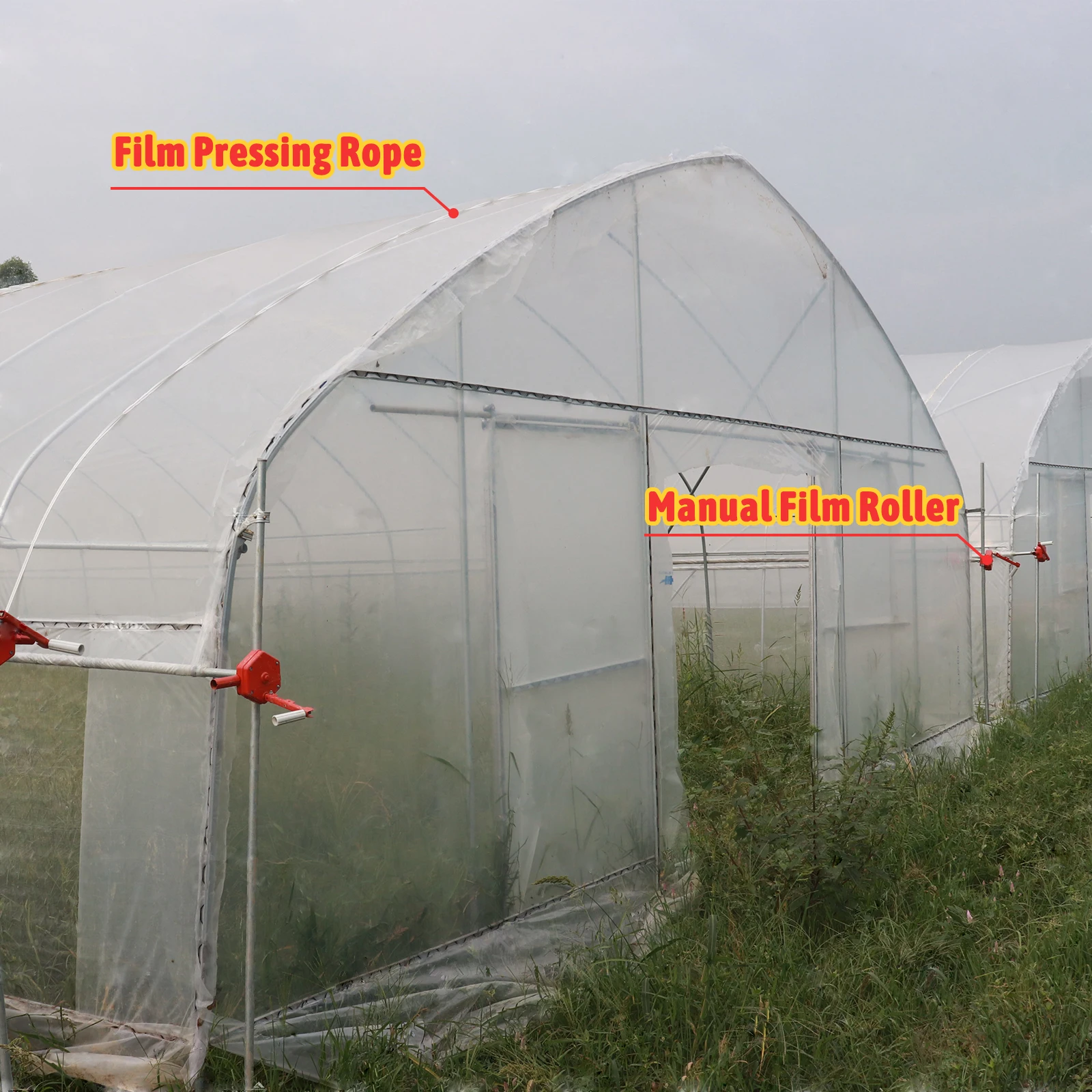 Plastic Film Conservatory Single Span Tunnel Plant Growing House Hydroponic Dome Greenhouse