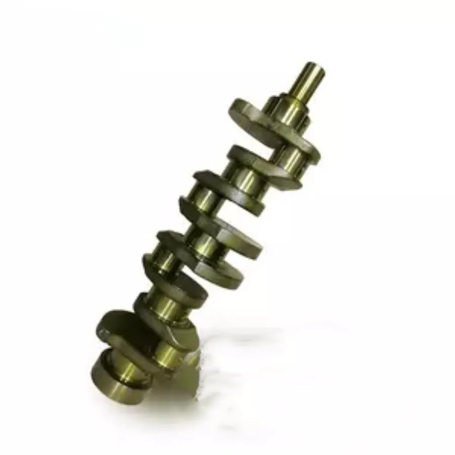 コンゴDR 大型 赤道州 トルクアタ 83mm 【公式通販】