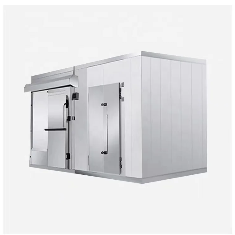 Mini Cold Storage Plant Cost in India