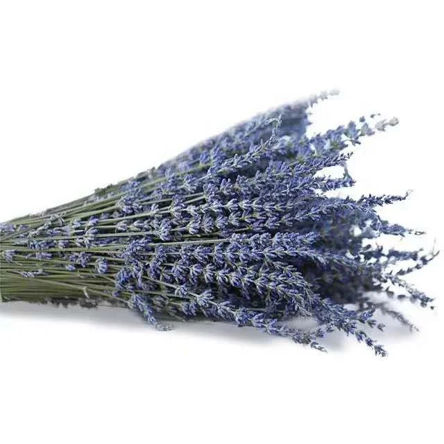 Flores Y Plantas Secas De Lavanda Natural Para Decoración Del  Hogar,Artículos Bohemios 2022 - Buy Secas Lavanda Flor De,Amazon Vendedor  Caliente Secas Plantas Y Flores Naturales Secas Lavanda Flor De Para La  Decoración Del Hogar,Artículos ...