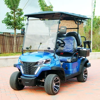 Wholesale Club Luxury off Road Mini Lithium Battery Chinese Golf Carts Electric 2 4 6 Seater Car Price for Sale