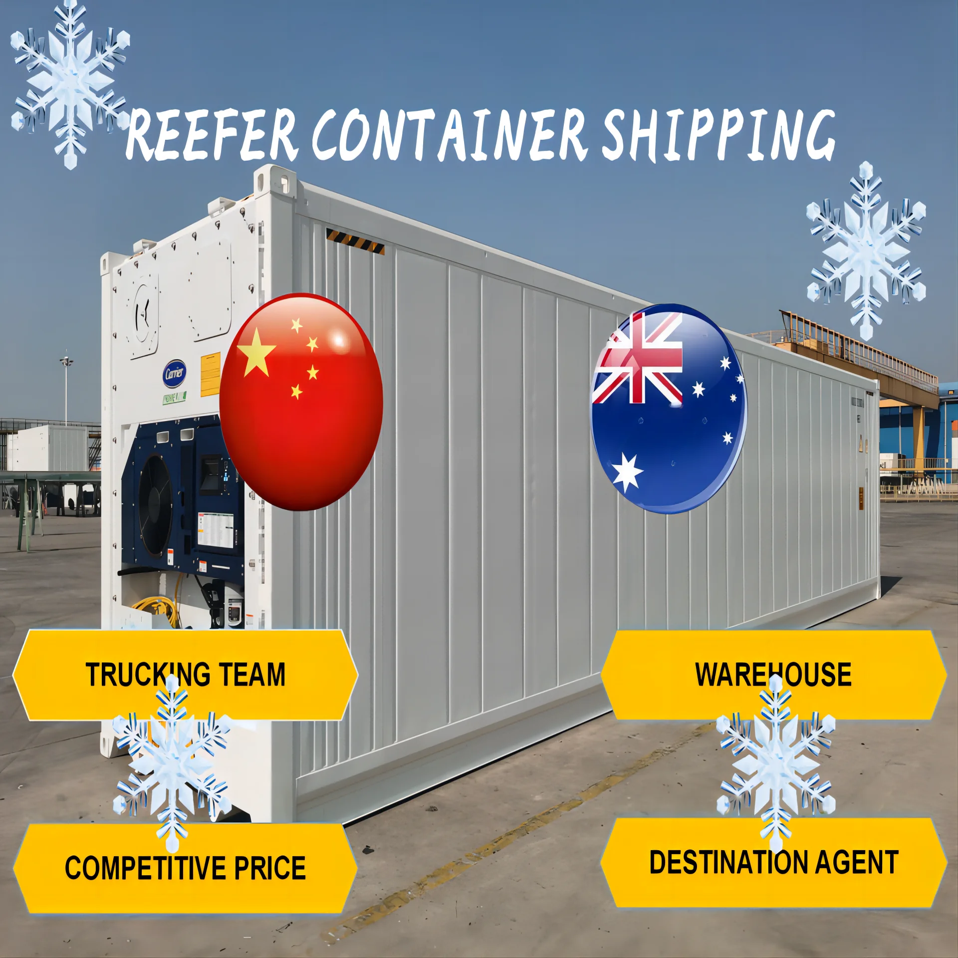 20ft 40ft Reefer Container for Freight Agents Shipped to Australia