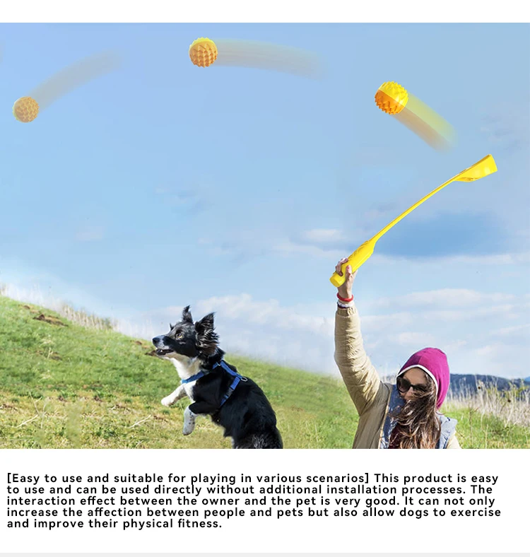 NEW Pet Supply Factory Wholesale Company's New  Bite Sound Dog Toy Outdoor Ball Thrower supplier