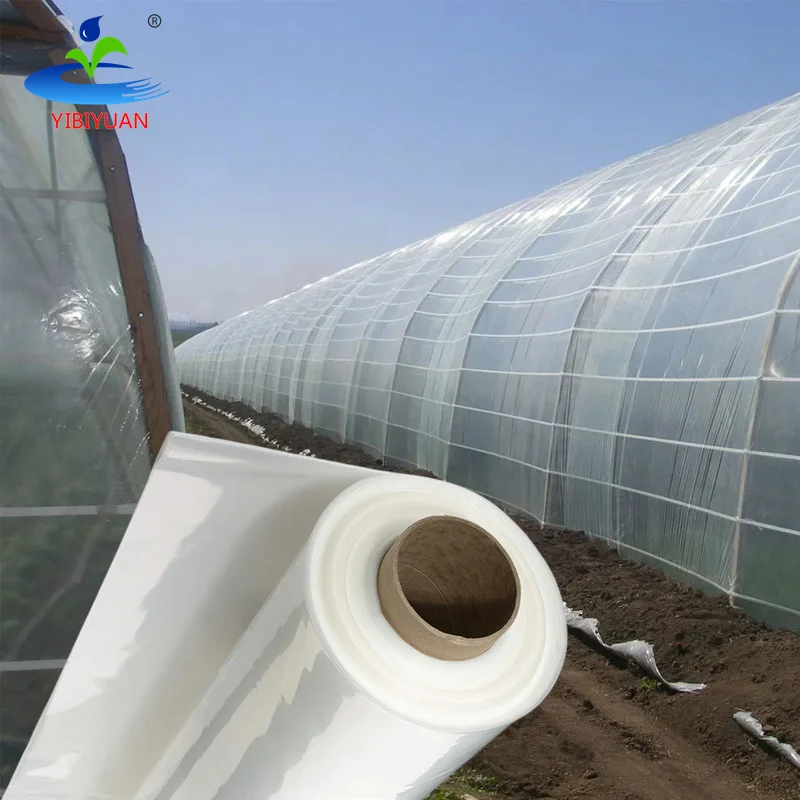 UV Resistant 200 Micron Greenhouse Plastic Film Agricultural Cover for Greenhouses Metal Frame Material