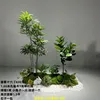 Paquete de plantas verdes de madera de pavo real 16