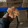 Pu abierto tulipán naranja viejo