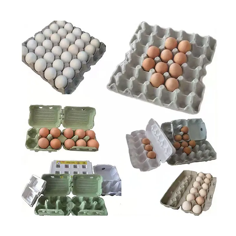 Fuyuan Big Capacity Per Hour Automatic Egg Try Making Machine Production Line